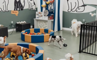 Barbett – Crèche canine