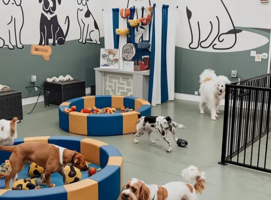 Barbett – Crèche canine