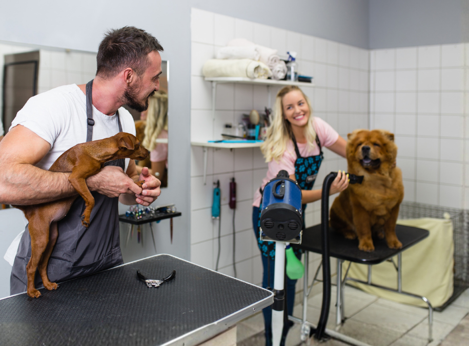 Groomy ― Salon de toilettage à Lyon 6 