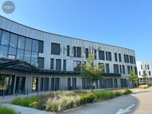 LINUX – LIMONEST – A LOUER – LIMONEST – 3 448 m² divisibles à partir de 633 m²