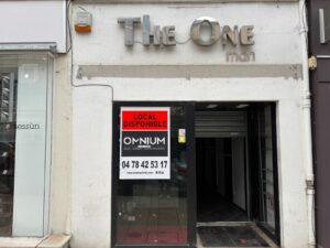 Immeuble The One – A LOUER – VILLEFRANCHE SUR SAONE – 240 m² non divisibles