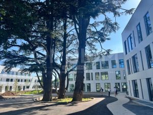 HELLO – BAT C – Limonest – A VENDRE – LIMONEST – 1 034 m² divisibles à partir de 162 m²