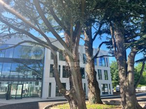 HELLO – BAT A2  – Limonest – A LOUER – LIMONEST – 715 m² divisibles à partir de 195 m²