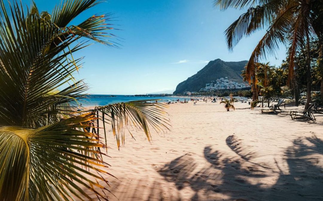 Commerces : Mobee travel