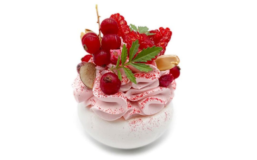 Commerces : Pavlovas Joel Maier